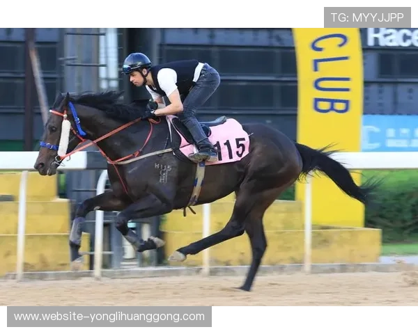 深入了解澳门赛马会赛事资讯,掌握赛事安排、参赛队伍及精彩回放内容